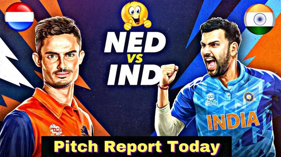 India Vs Netherlands Today Pitch Report in Hindi